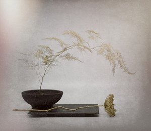  da Saskia Dingemans