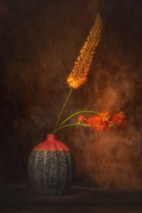  da Saskia Dingemans