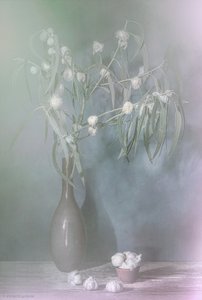  da Saskia Dingemans