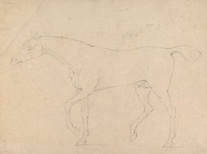 Un Cavallo da Sawrey Gilpin