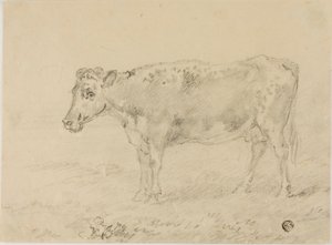 Mucca da Sawrey Gilpin