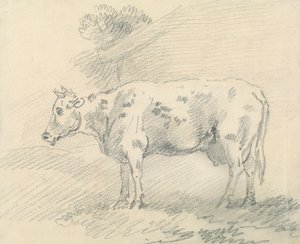Mucca da Sawrey Gilpin