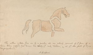 Disegno di cavallo sproporzionato