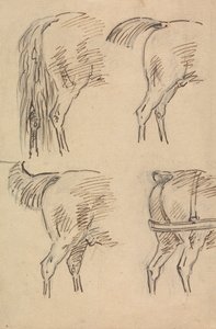 Quattro schizzi di quarti posteriori di cavallo da Sawrey Gilpin