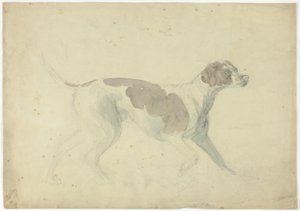 Cane da caccia (recto); schizzi di cavallo e cavaliere (verso)