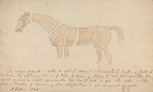 Parti del cavallo proporzionato correttamente da Sawrey Gilpin