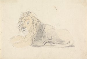 Studio di un leone da Sawrey Gilpin