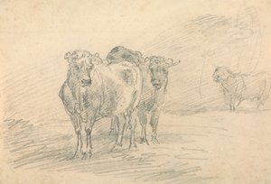 Due mucche su una collina da Sawrey Gilpin
