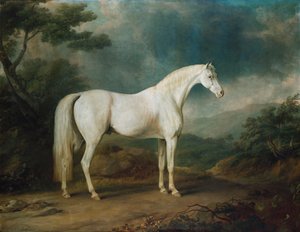 Cavallo bianco in un paesaggio boscoso, 1791