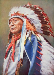 Capo Hollow Horn Bear