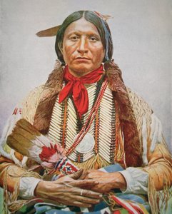 Capo 