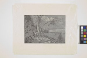 Paesaggio