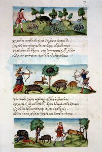 Arte bizantina: caccia al cinghiale. Diverse tecniche di caccia. In alto: cattura di barbabietole nelle reti. Al centro caccia al gioco con l