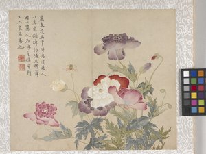 Album di 8 foglie di fiori, metà 1700 da School Chinese