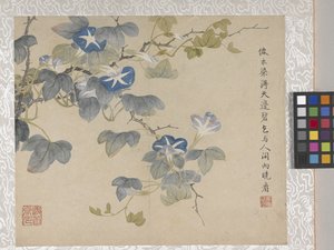 Album di 8 foglie di fiori, metà 1700