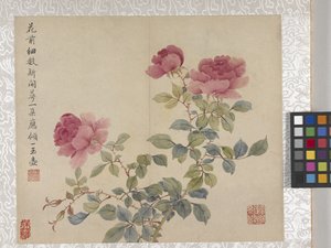Album di 8 foglie di fiori, metà 1700 da School Chinese