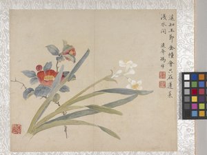 Album di 8 foglie di fiori, metà 1700 da School Chinese