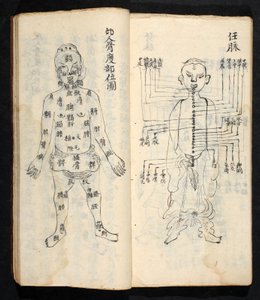 Punti di agopuntura lungo la linea centrale del corpo, da Jing Guan Qi Zhi, 
