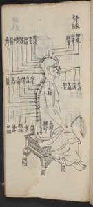 Punti di agopuntura lungo la colonna vertebrale e la testa, da Jing Guan Qi Zhi, 