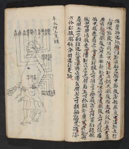 Punti di agopuntura sul braccio, collo e base della testa, da Jing Guan Qi Zhi, 