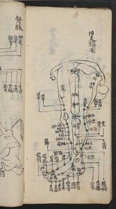 Punti di agopuntura sulla gamba, da Jing Guan Qi Zhi, 