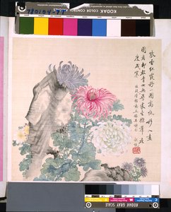 Album di fiori e uccelli