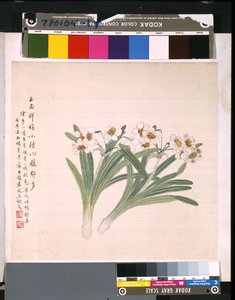 Album di fiori e uccelli da School Chinese