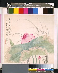 Album di Fiori e Uccelli, data sconosciuta da School Chinese