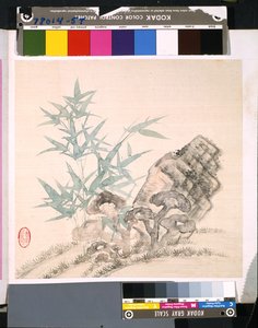 Album di fiori e uccelli da School Chinese