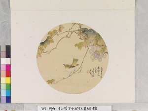 Uccello su ramo di vite da School Chinese