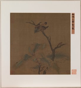 Uccello su un ramo (inchiostro e colore su seta) da School Chinese