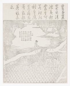 Irrigazione del riso da School Chinese