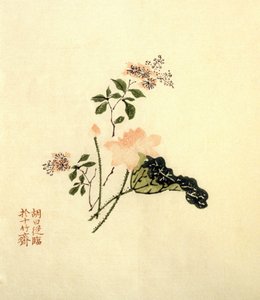 Fiore di loto da School Chinese