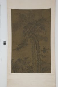 Vecchi alberi sotto la luna da School Chinese