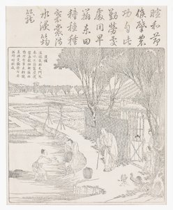 Mettere il riso in acqua per favorire la germinazione da School Chinese