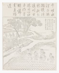 Piantare il riso da School Chinese