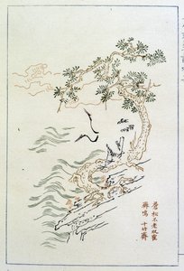 Fiume - Stampa cinese, sd. da School Chinese