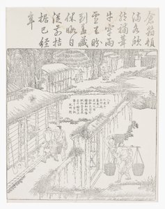 Conservare il riso da School Chinese