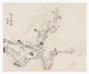Serie di dieci bambù da School Chinese
