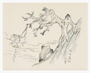 Serie di dieci bambù da School Chinese
