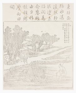 Lavorare la risaia in tempo secco da School Chinese