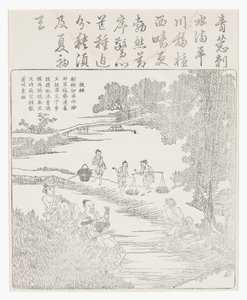 Trapiantare le piantine di riso da School Chinese