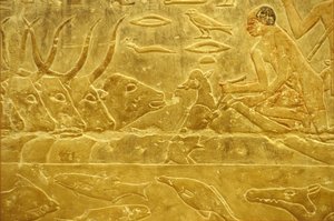 Antico Egitto, incisione/pittura murale, Mastaba/Tomba di Idout, Saqqara, VI dinastia, bestiame che attraversa un fiume, uomo che aiuta un vitello ad attraversare un fiume, madre che osserva da School Egyptian