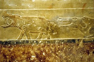 Antico Egitto, Incisione/Pittura murale, Mastaba/Tomba di Idout, Saqqara, VI Dinastia Ippopotamo partorisce e cade preda di un coccodrillo in attesa