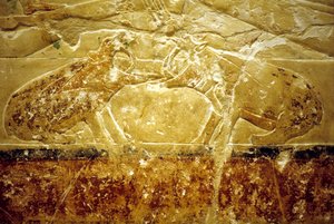 Antico Egitto, Incisione/pittura murale, Mastaba/Tomba di Idout, Saqqara, VI Dinastia, Due ippopotami che combattono da School Egyptian