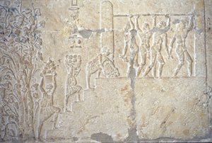 Antico Egitto, Scultura/pittura murale, Tomba di Petosiris, Tuna el Gebel, 300 a.C., Vendemmia, Produzione del vino, Torchio da School Egyptian