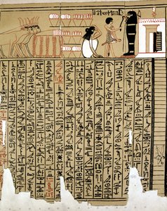 Geroglifici Egiziani da School Egyptian