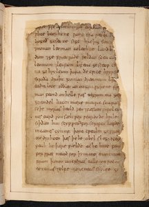 Una pagina di Beowulf dai fogli a volte chiamati 