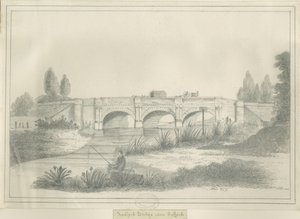 Stafford - Radford Bridge da School English