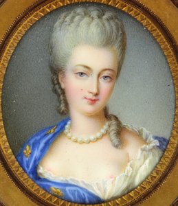 Una principessa Borbone, chiamata Marie-Louise-Elisabeth d